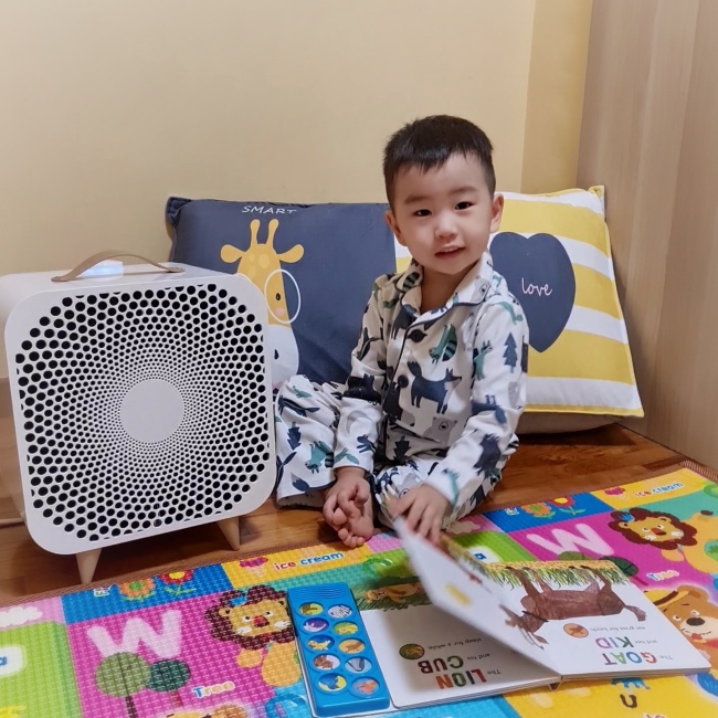 Blueair blue 2024 fan